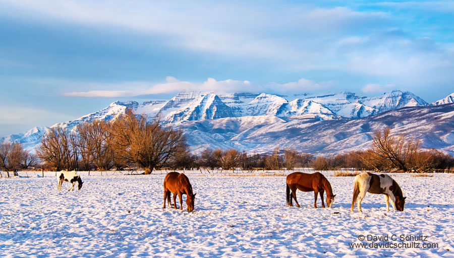Park City, Utah photography lessons in the Heber Valley