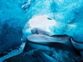 Ice cave in Iceland - Image #211-1500