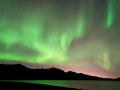 Northern Lights Iceland - Image #211-784