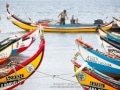 Moliceiro fishing boats Portugal - Image #16-979