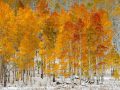 Autumn in the Uinta Mountains of UT - Image #3-5531