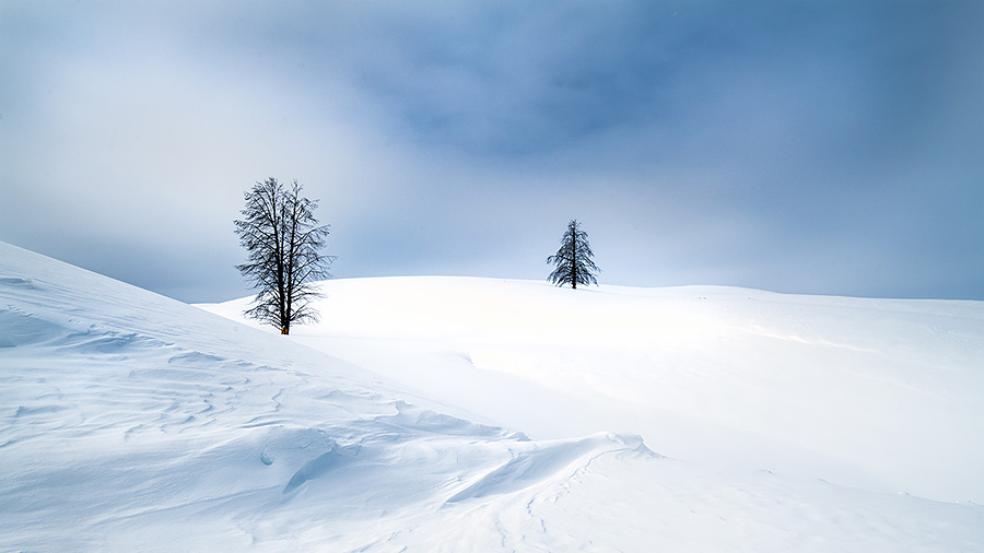 Winter in Yellowstone photograph of Hayden Valley