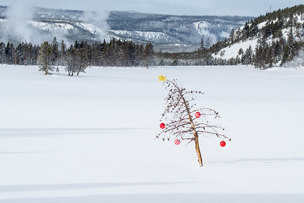 Christmas in Yellowstone National Park photo tour