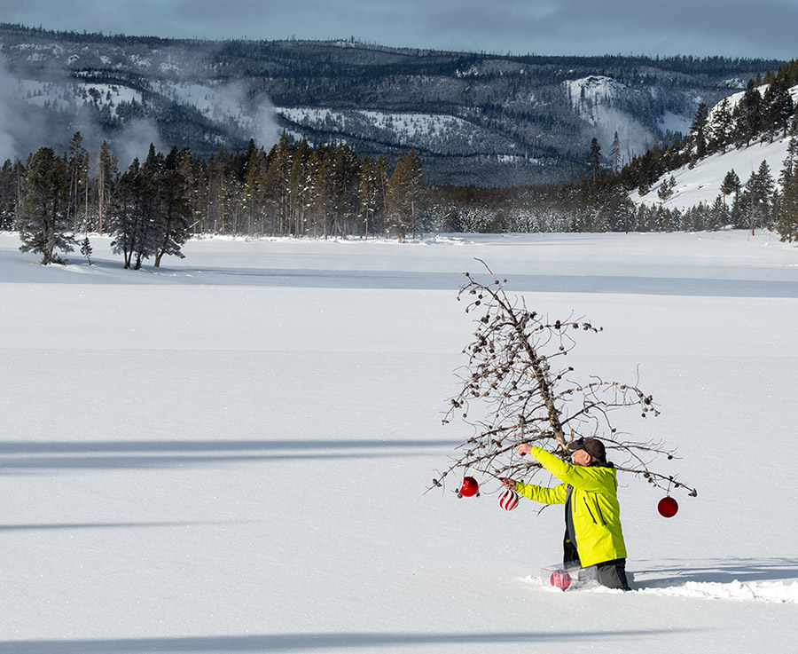 Christmas in Yellowstone photoraphy tour