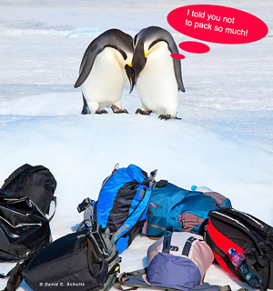 Antarctica Travel Tips